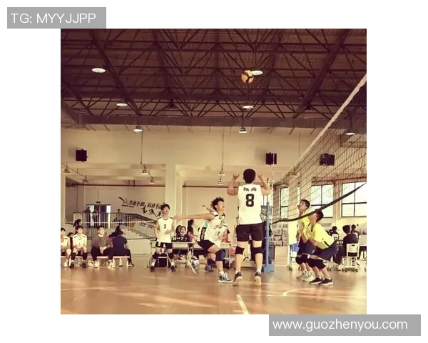 成都排球队荣登排球耐力排行榜首位展现卓越实力与团队精神